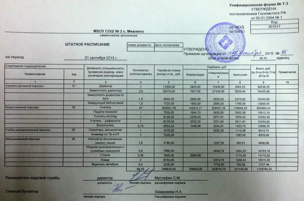 Заместитель директора бюджетного учреждения. Штатное расписание некоммерческой организации образец. Штатное расписание бюджетного учреждения образец. Штатное расписание образовательной организации. Штатное расписание медицинского учреждения.