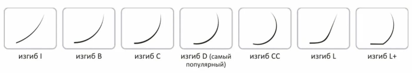 Какие бывают изгибы нарощенных. Классификация искусственных ресниц изгибы толщины длины. Длина и изгиб ресниц для наращивания таблица. Изгибы толщины и длины искусственных ресниц. Таблица изгибов нарощенных ресниц.