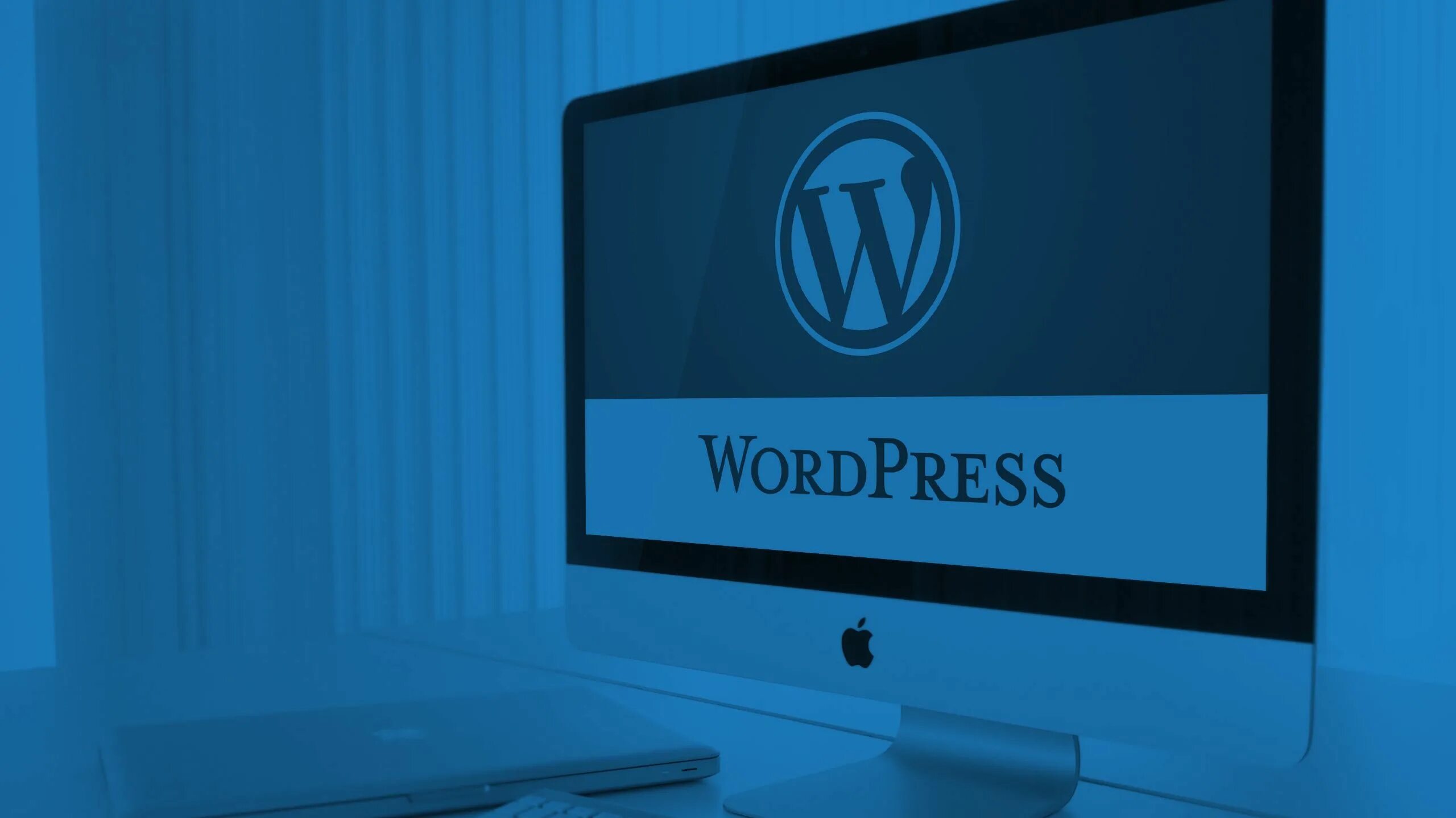 Wordpress купить. Вордпресс фото. WORDPRESS фон. Фон для вордпресс. WORDPRESS обои.