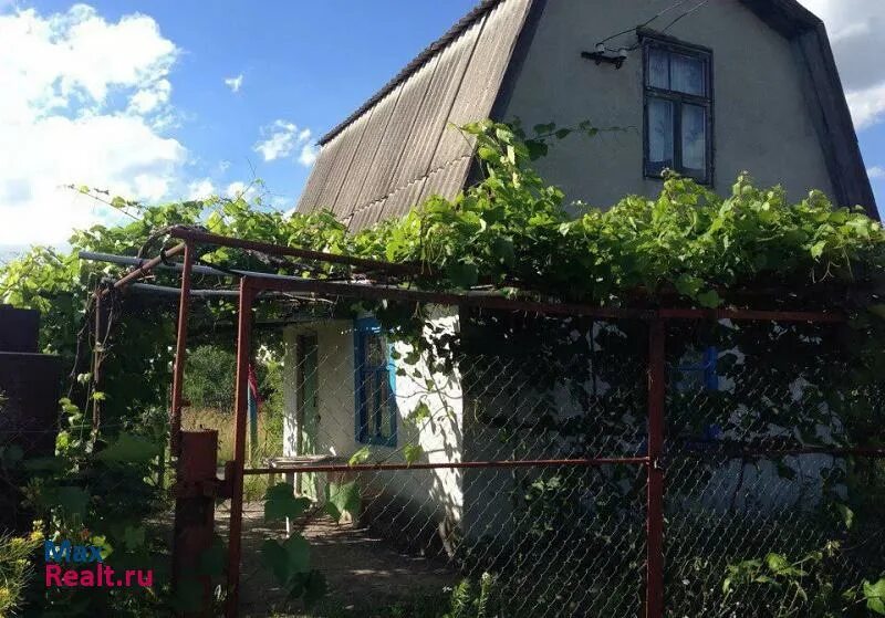 Белгородская область дачная. Кукушкин хутор в старом осколе. Дачи в старом осколе. Дача белгородская область. Дача белгородская область.