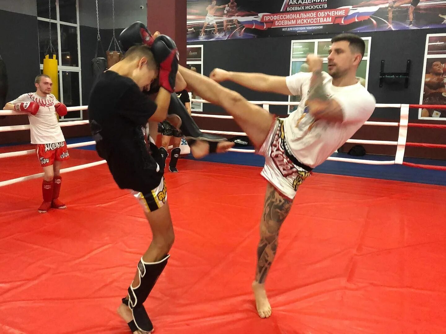 Академия боевых искусств калининград. Муай тай калининград. Муай тай калининград. Муай тай калининград. Бокс калининград самаркандская.