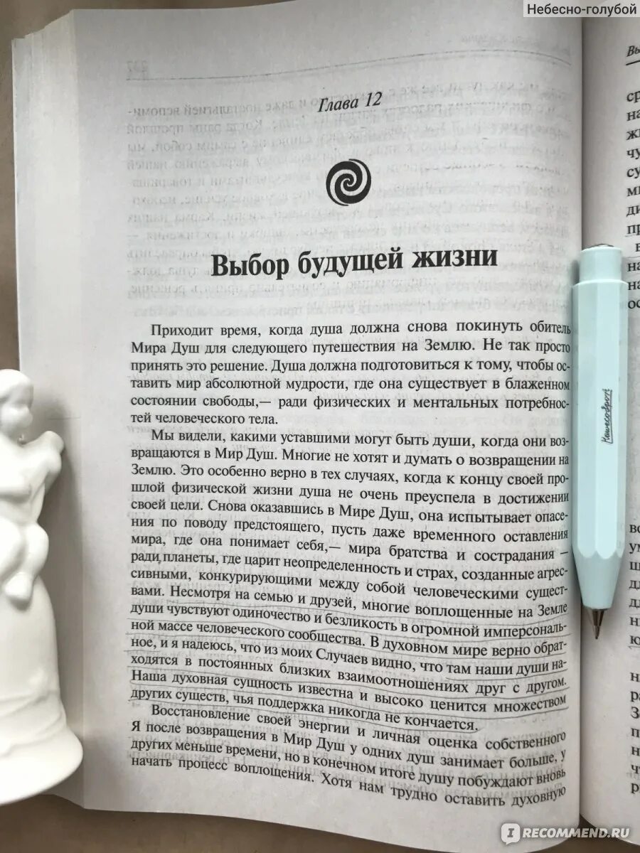 Читать книгу ньютона путешествие души. Майкл Ньютон - путешествия души. Жизнь между жизнями. Книги про перемещение души.