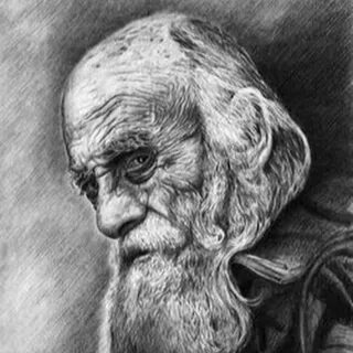 Старик рисунок карандашом