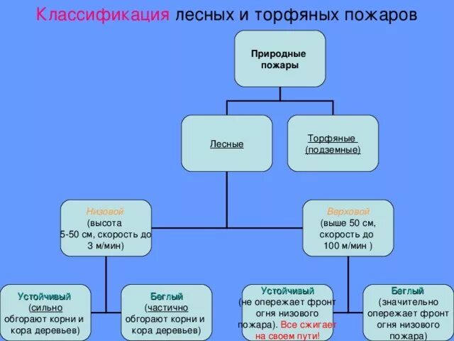 Таблица лесных пожаров