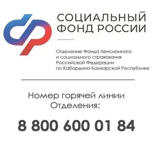 Единый социальный фонд телефон горячей линии