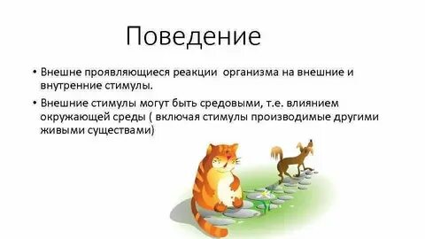 Их основе многие особенности их