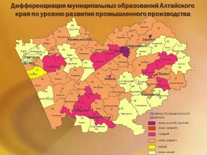 Алтайский край социальное положение
