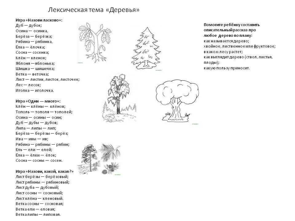 Тема деревья в подготовительной логопедической группе. Лексическая тема деревья в старшей логопедической группе. Деревья задания логопеда для дошкольников. Задание дефектолога тема деревья. Клен и береза текст