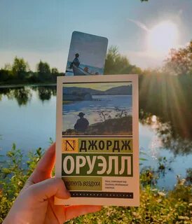 Дом воздух отзывы
