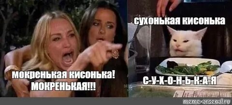 Мокренькая кисонька