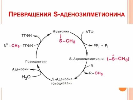 Цикле преобразований
