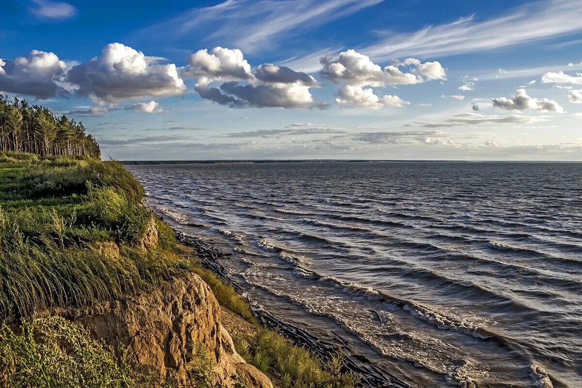 Обское море Бердск. Обское водохранилище. Бердск водохранилище. Обское водохранилище Новосибирск.