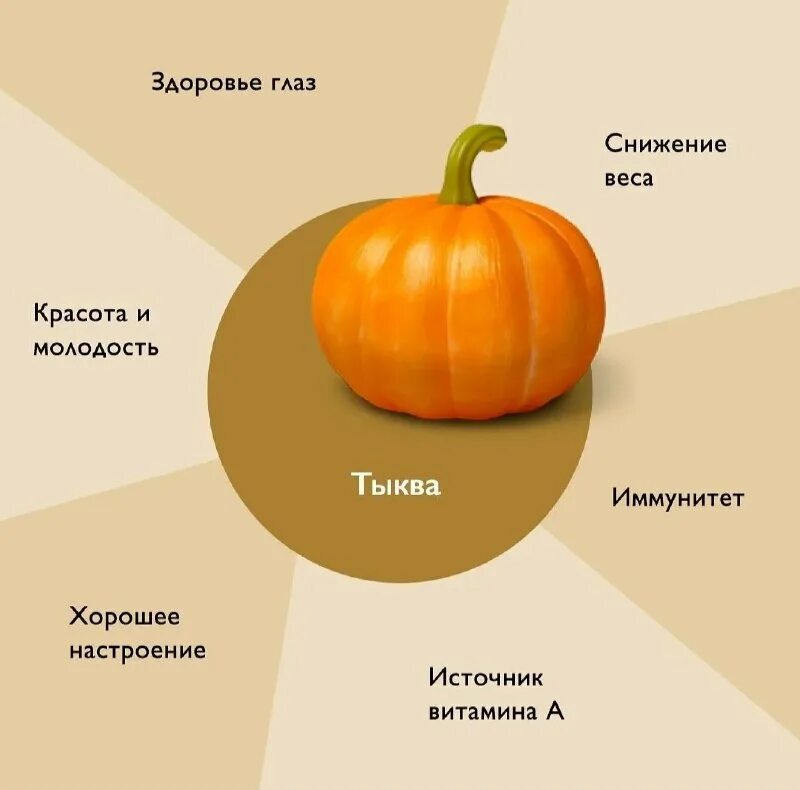 Стая журавлей пролетела над школьным садом. Строение плода тыквина. Плод тыквы с ботанической точки зрения является. Тыквина плод тыквы строение. Арбуз это ягода или фрукт.