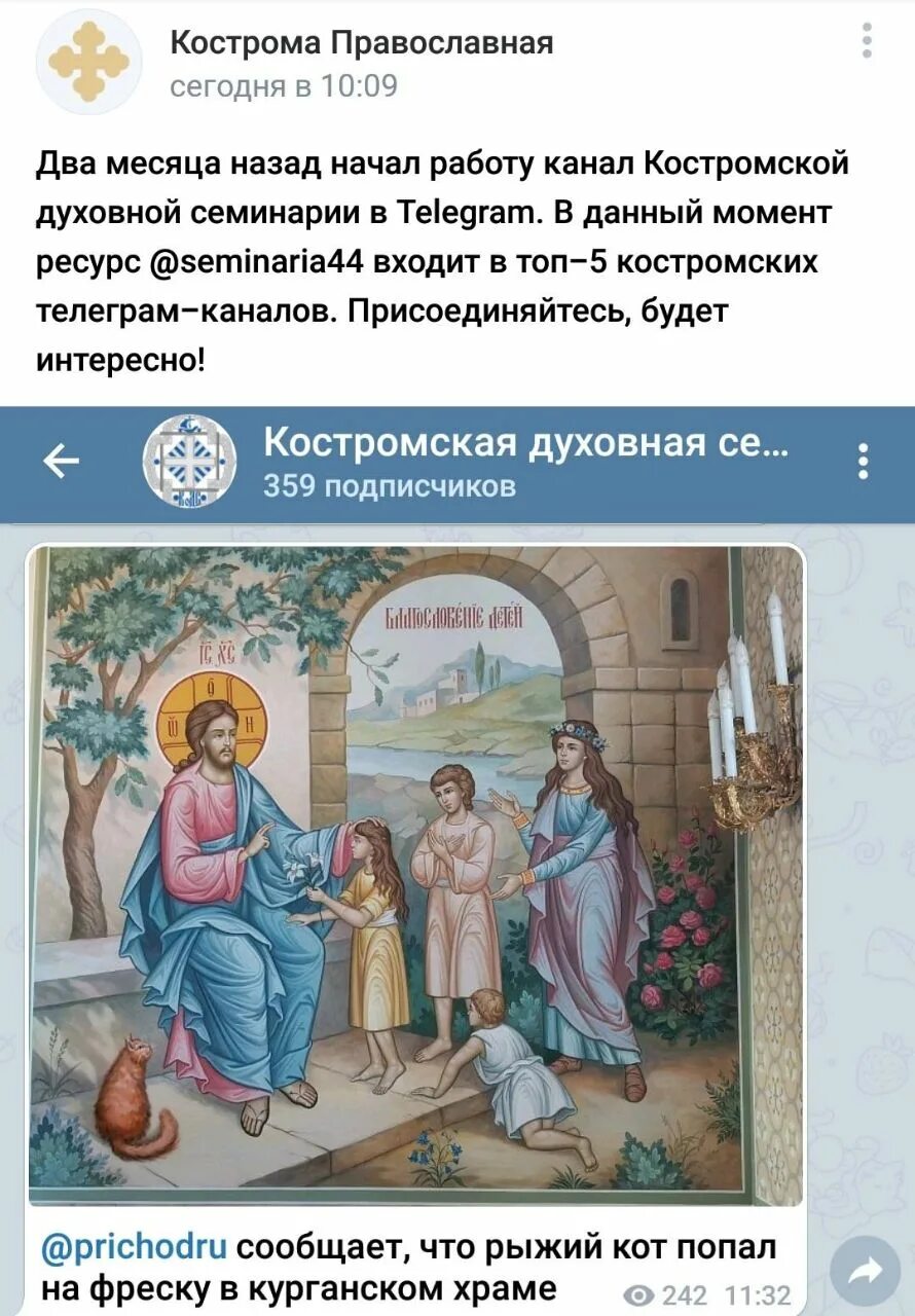 кострома православная