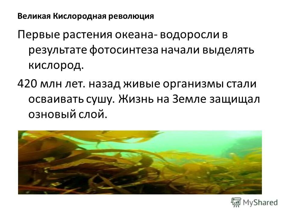 Кислородная катастрофа причины. Кислородная революция. График кислородной катастрофы. Великая кислородная революция. Изменение концентрации кислорода в атмосфере земли.