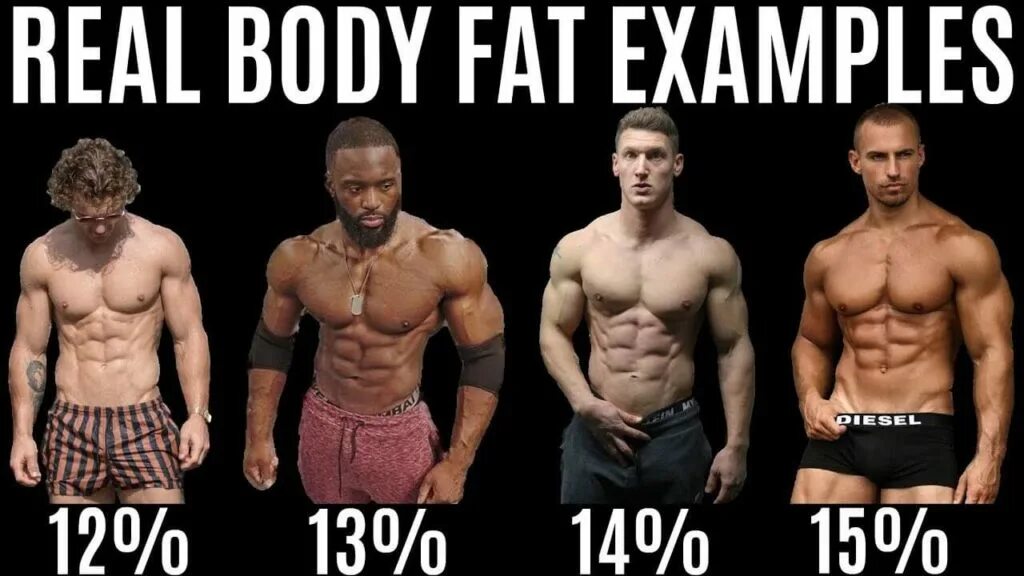 15% Body fat. Body fat Level. How 12% body fat looks like. 20% Bodyfat.