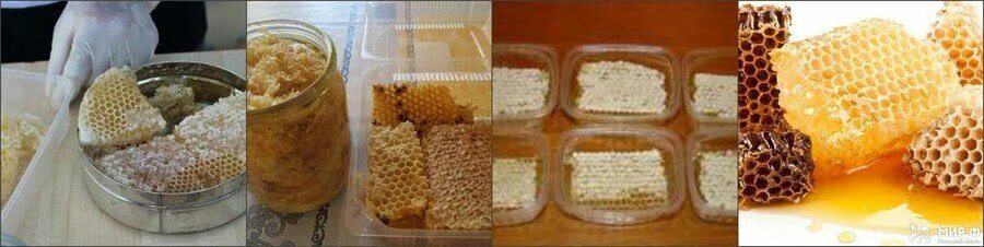 Как хранить соты с медом. Мёд в сотах. Мёд в сотах в сотах. Соты медовые засахарились. Как хранить соты.