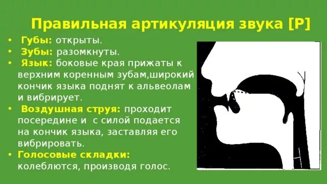 Артикуляция движение. Профиль артикуляции звука р. Правильное произношение звука р. Правильная артикуляция звука р. Правильная артикуляция звука с.