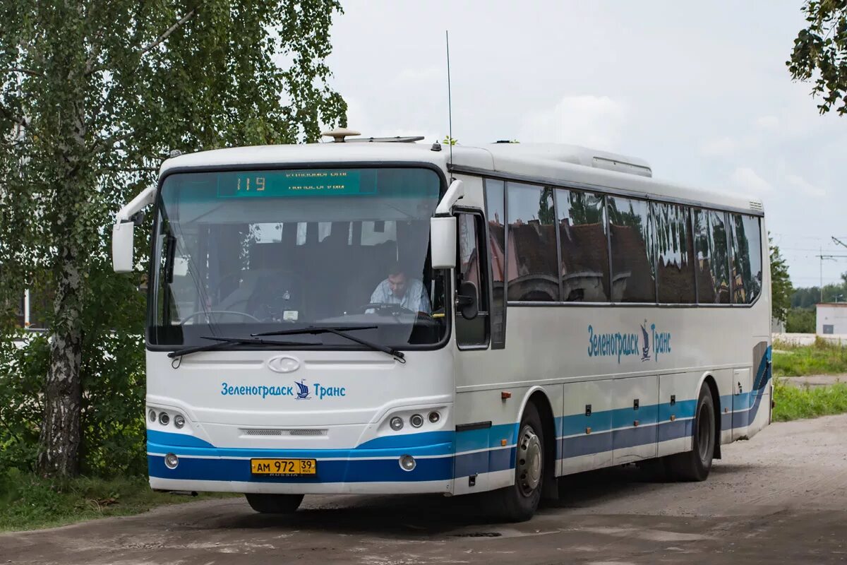 ООО Зеленоградск транс Калининград. Автобусы Калининград. 112 Автобус Калининград. Автобусы Калининградской области.