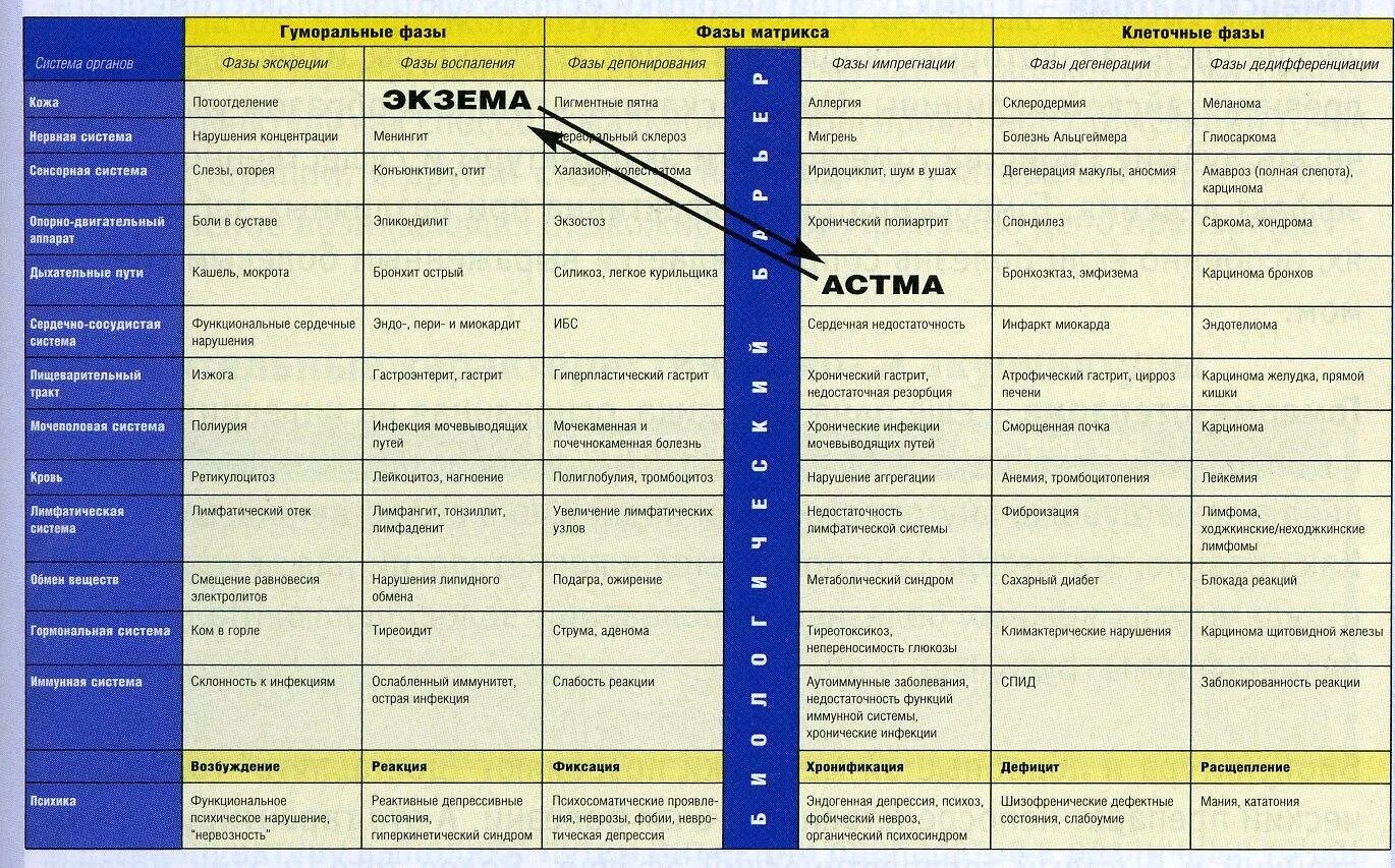 Таблица исцеление. Психосоматика болезней таблица новая Германская медицина. Новая Германская медицина доктора Хаммера таблица заболеваний. Таблица развития болезней гомеопатия. Доктор Хаммер психосоматика таблица заболеваний.