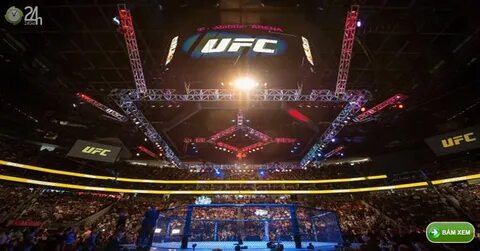 Ufc vegas 99 прямой