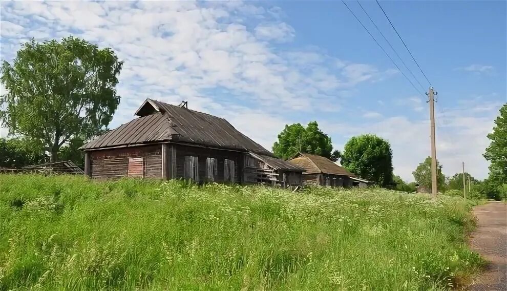 Жители деревни луги. Жители деревни луги