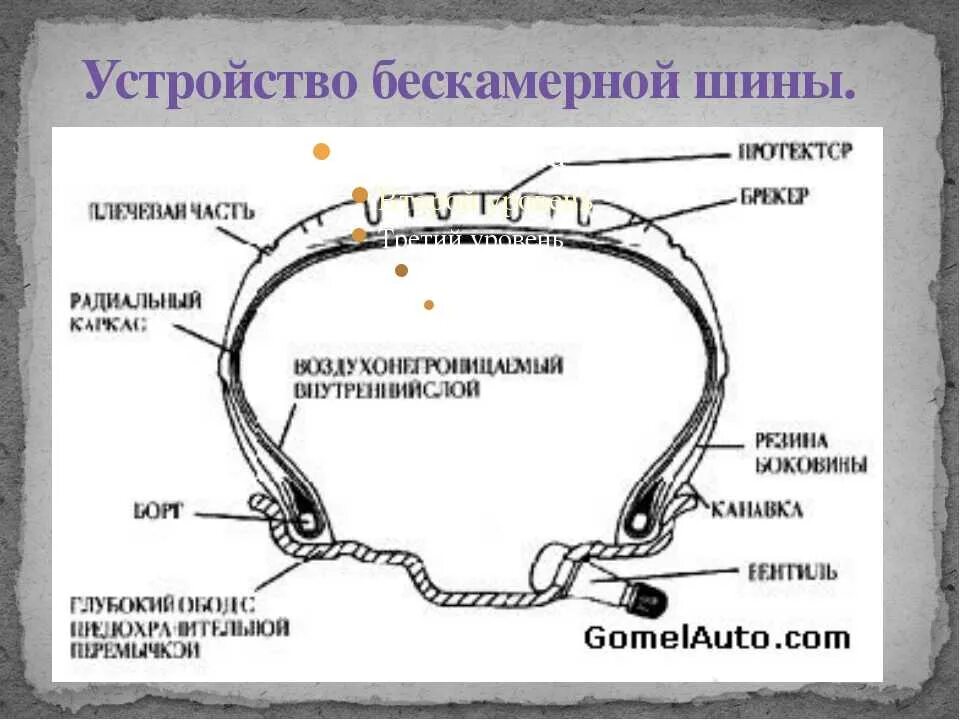 Строение шины. Из чего состоит бескамерная шина. Схема устройства автомобильной шины. Конструкция бескамерного колеса автомобиля. Схема устройства бескамерной шины.