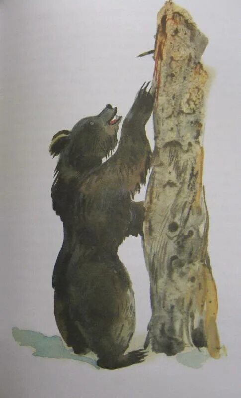 Лесков зверь краткое. Н.С.Лескова «зверь».. Иллюстрации к рассказу Лескова зверь. Рассказ зверь Лескова. Сганарель медведь зверь Лесков.