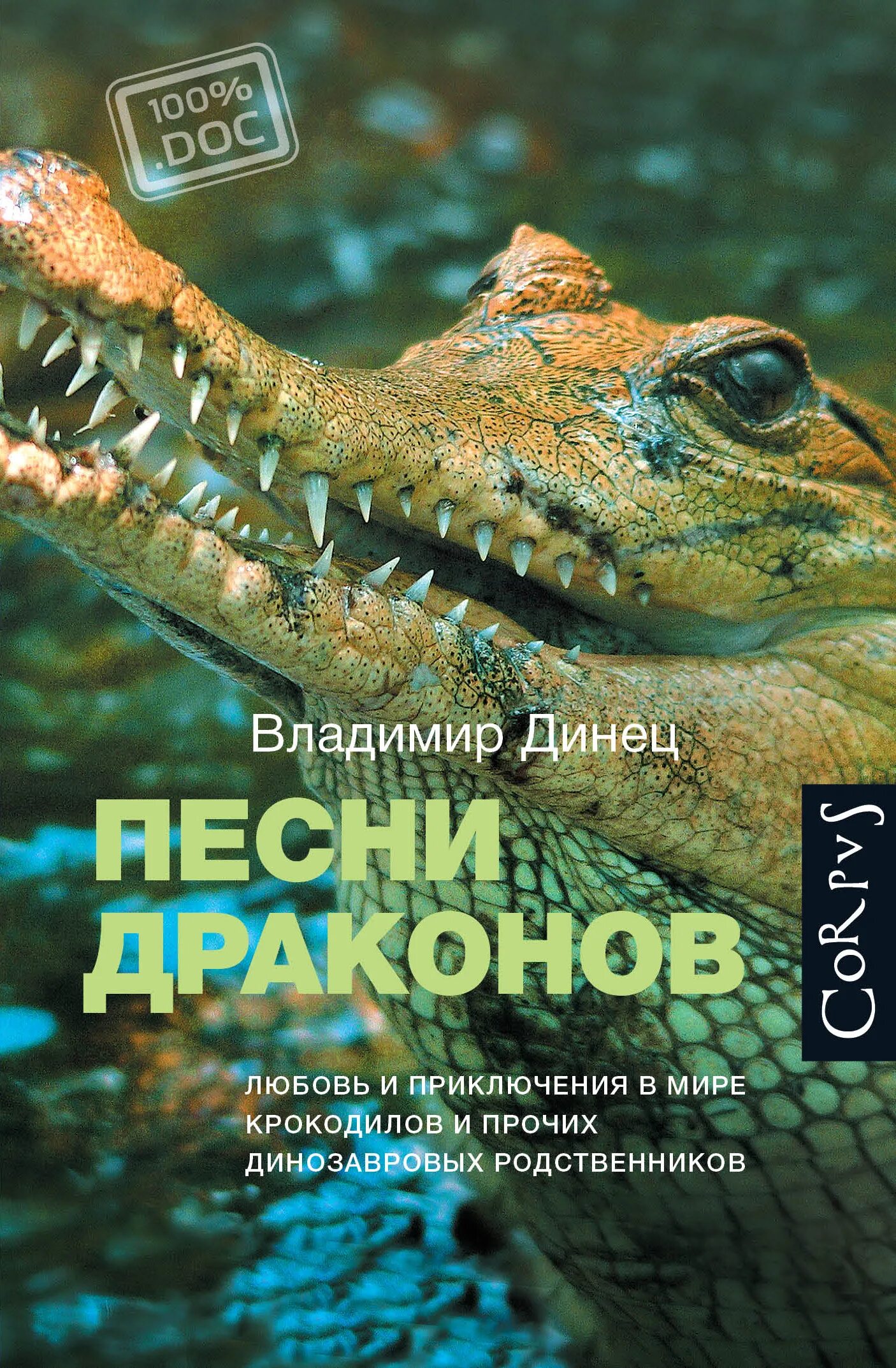 Миры в приключения драконов. Песни драконов книга.