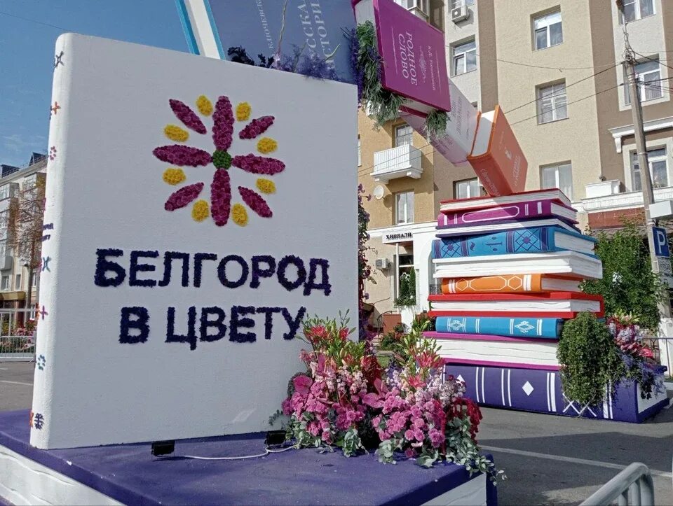 Город цветов белгород. Город в цвету белгород. Цветы белгород улица н островского. Белгород в цвету 2022. Клумбы цветов в белгороде.