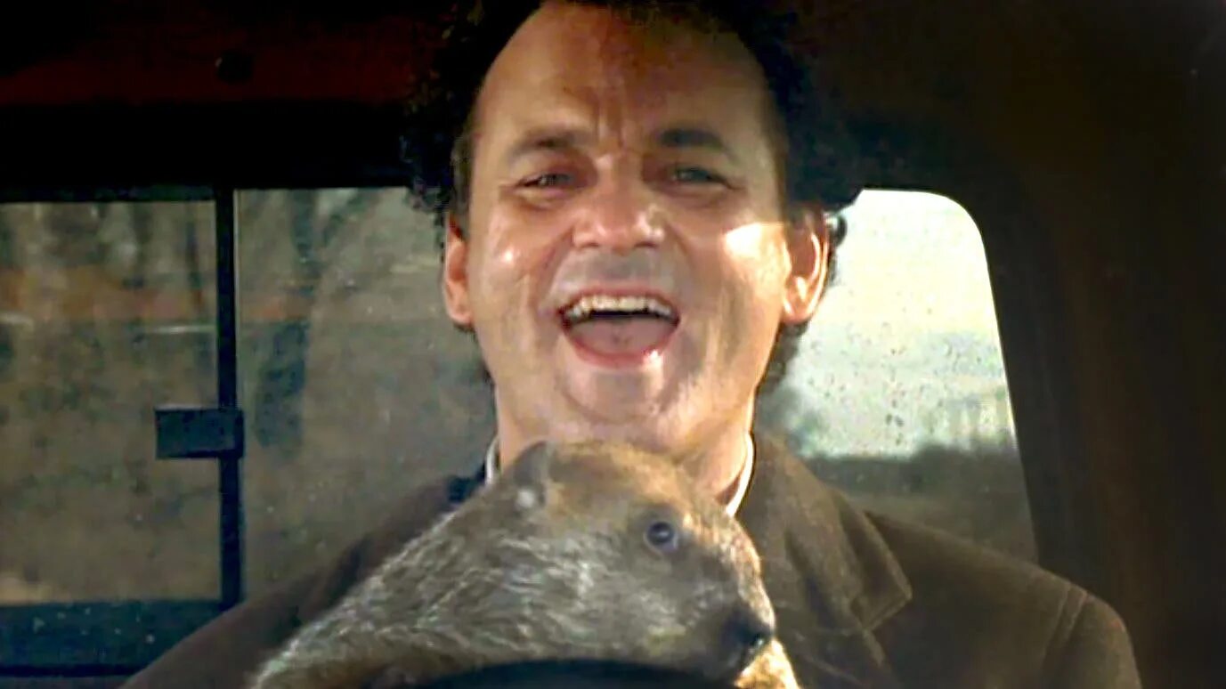 Загадка про сурка для детей. Сурок фил из панксатони. День сурка. Punxsutawney phil. Сурок фанфик.