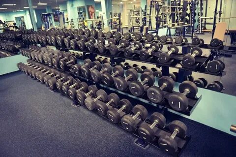 Xfit норильск