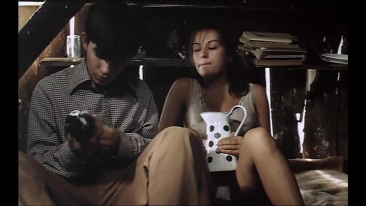 федорова лариса красноярск. ли ён э тангем. Li se. помнишь ли ты? долли белл фильм кустурицы 1981. помнишь ли ты долли белл 1981.