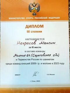 Сочи командный чемпионат по шахматам 2024