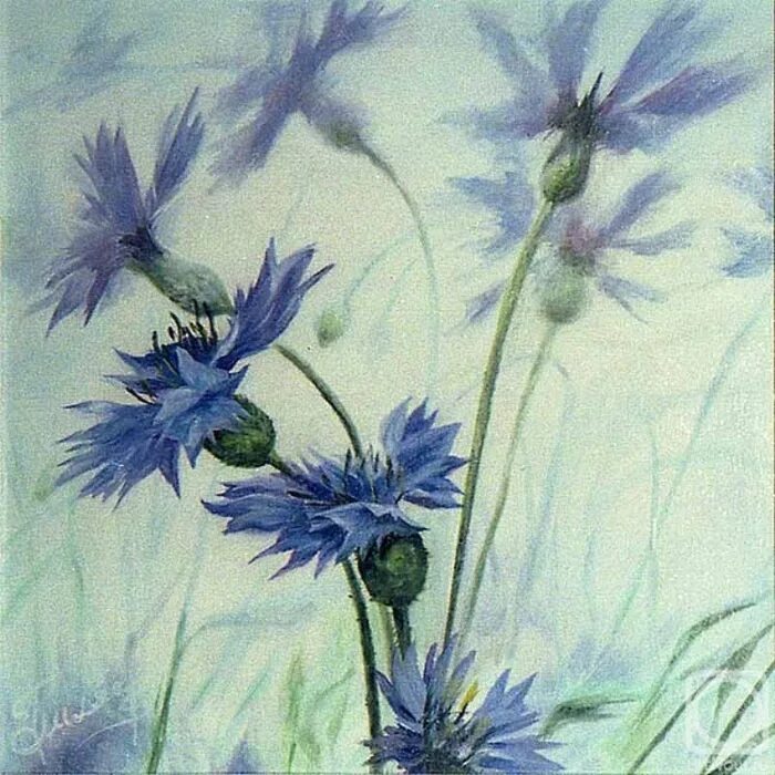 бронислав маркович умбра. бланка альварес художница акварель. хокусай большая волна. дзен акварель. дзен акварель.