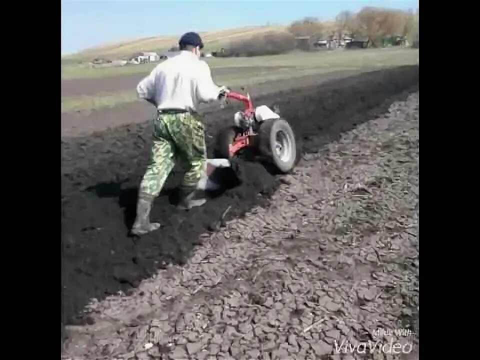 Картошка под плуг мотоблоком. Садить картошку под мотоблок. Плуг для посадки картофеля для мотоблока. Как сажать картошку под мотоблок плугом. Посадка картошки под квадроцикл.