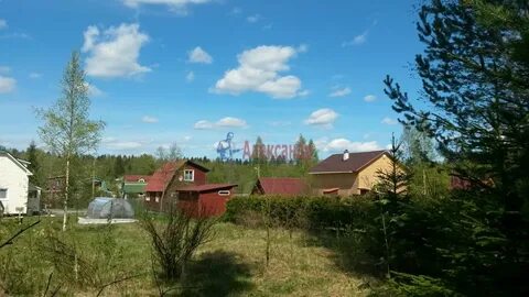 Снт ручьи