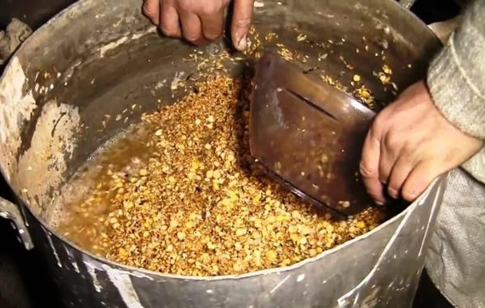 Можно ли курам варить картошку