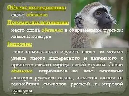 Со словом мартышка слова