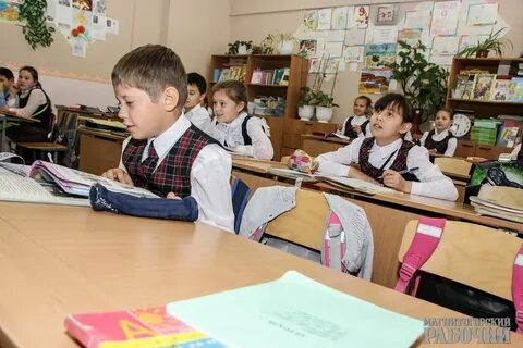 Учиться ли школы