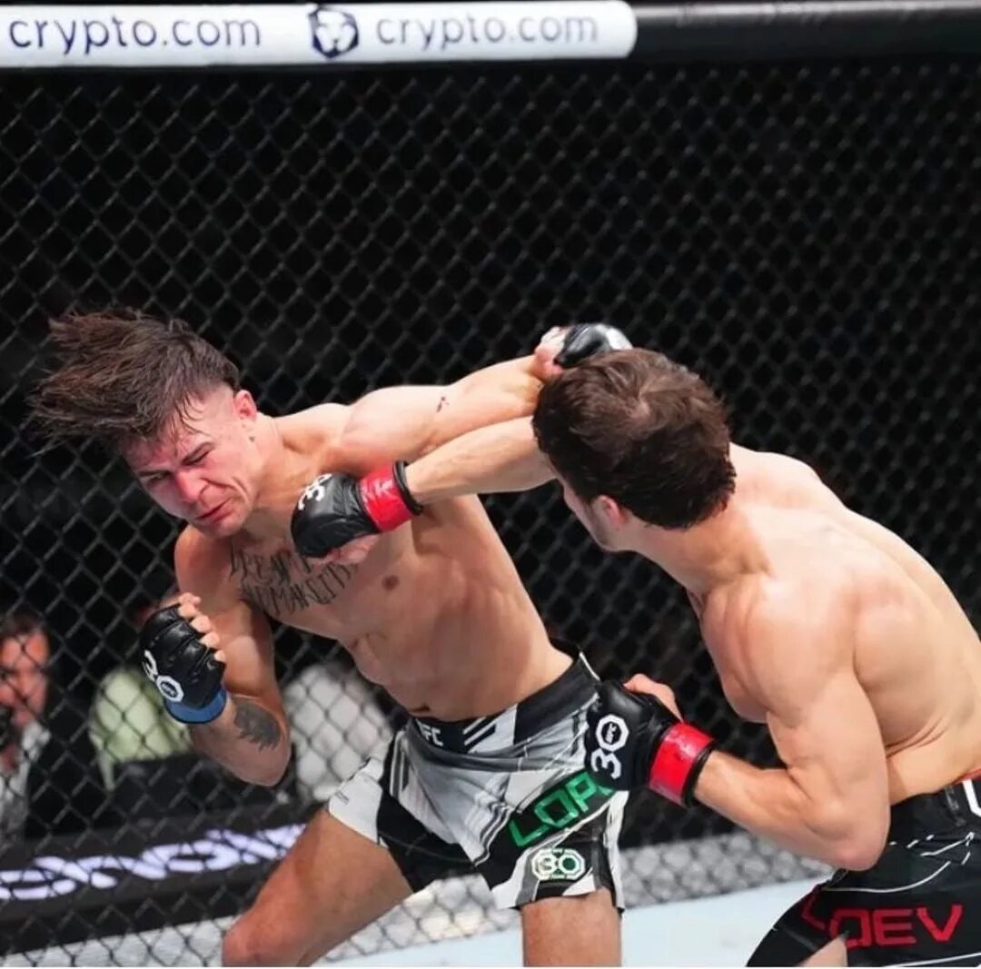 Евлоев мовсар последний бой. Смешанные единоборства. Мовсар евлоев диего лопес. Евлоев лопес бой. Евлоев лопес бой.