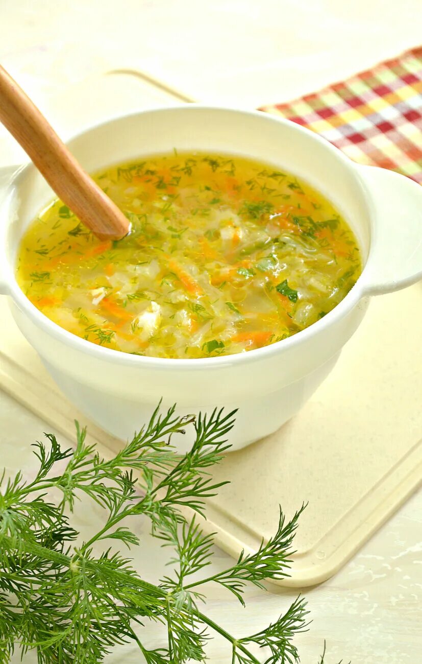 Первые блюда на каждый рецепты простые. Щи. Для супа. Щи из свежей капусты. Куриный суп.