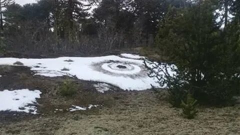 Таинственные следы приманка