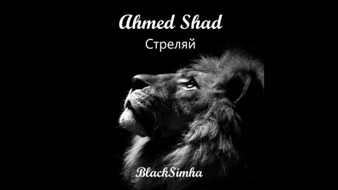 Стреляй ahmed shad
