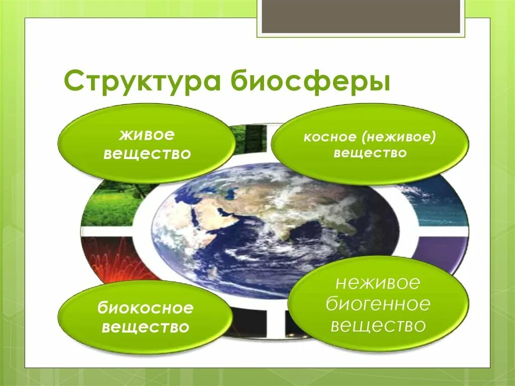 Строение живого и неживого. Биосфера состав и строение. Структура биосферы живое вещество. Биосфера структура биосферы. Структура биосферы схема.