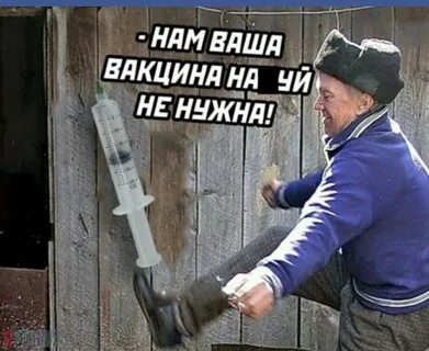 Пол дурак
