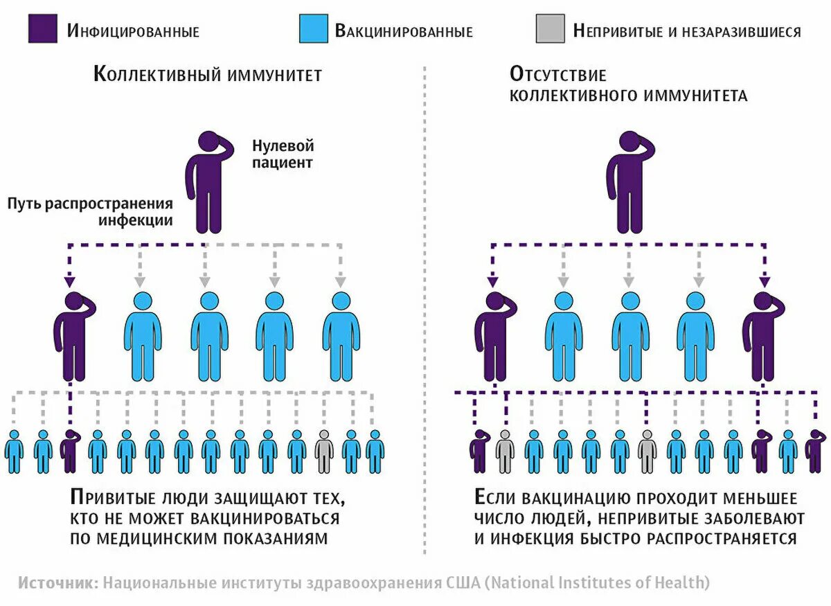 Коллективный иммунитет. Коллективный иммунитет вакцинация. Уровень коллективного иммунитета. Коллективный иммунитет коронавирус.