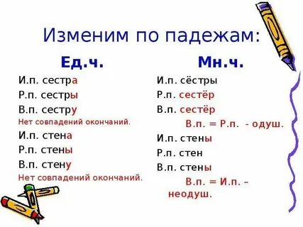 Сестра из какого языка