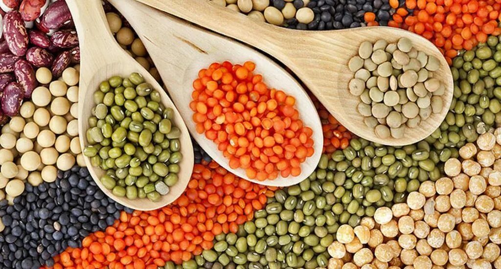 Маш из какой крупы. Фасоль, горох, нут, чечевица. маш нут чечевица. фасоль чечевица нут. чечевица горох нут.