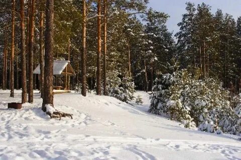 Экопарк боровое